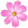 🌸 Эмодзи «flowers #flowers #цветы» для Telegram