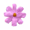 🌸 Эмодзи «flowers #flowers #цветы» для Telegram