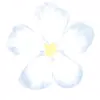 🌸 Эмодзи «flowers #flowers #цветы» для Telegram