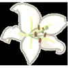 🌸 Эмодзи «flowers #flowers #цветы» для Telegram