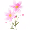 🌸 Эмодзи «flowers #flowers #цветы» для Telegram