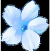 🌸 Эмодзи «flowers #flowers #цветы» для Telegram
