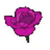 🌹 Эмодзи «flowers #flowers #цветы» для Telegram