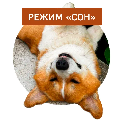 Стикерпак Lucky FSK для Telegram — скачать