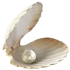 🐚 Эмодзи «Thats Life» для Telegram