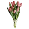 🌷 Эмодзи «Thats Life» для Telegram