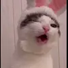 🥢 Эмодзи «Luna» для Telegram