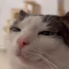 🤩 Эмодзи «Luna» для Telegram