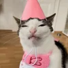 🤩 Эмодзи «Luna» для Telegram