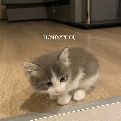 😔 Стикер «пихуй» для Telegram