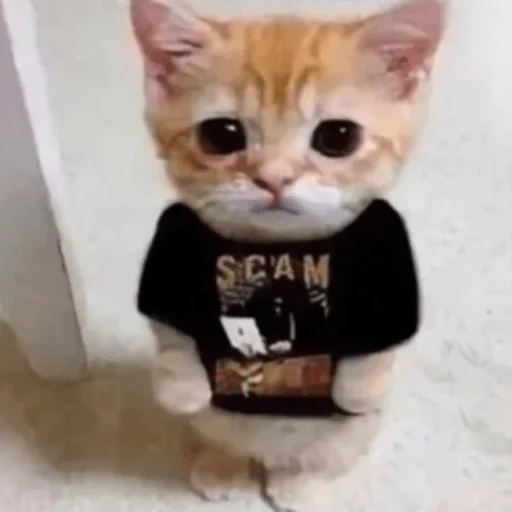 😇 Стикер «пихуй» для Telegram