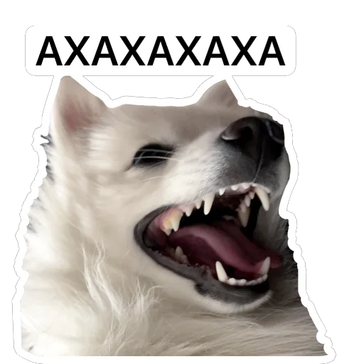 🤣 Стикер «Nixie the Spitz» для Telegram