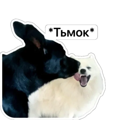 😘 Стикер «Nixie the Spitz» для Telegram