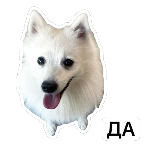 👍 Стикер «Nixie the Spitz» для Telegram