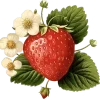 ❤️ Эмодзи «❤ любовные эстетик эмодзи» для Telegram