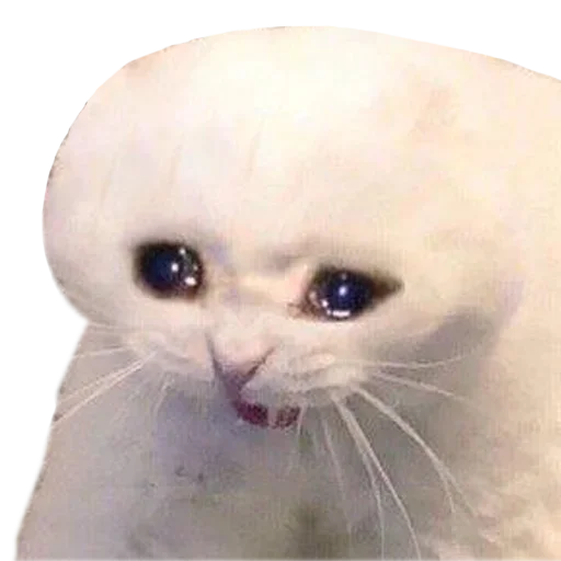 😫 Стикер «Michis cursed» для Telegram