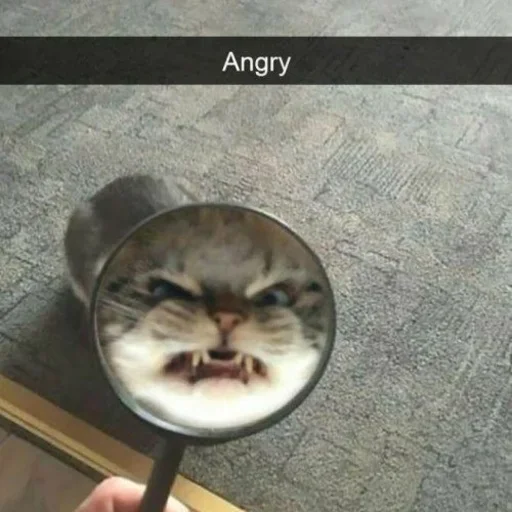😤 Стикер «Michis cursed» для Telegram