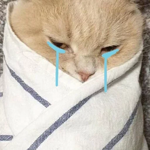 😥 Стикер «Michis cursed» для Telegram
