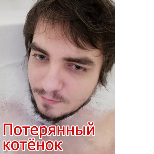 😿 Стикер «Мэддисон» для Telegram