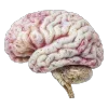 🧠 Эмодзи «magical vintage» для Telegram