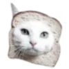 🐈‍⬛️ Эмодзи «🐈‍⬛ котики» для Telegram
