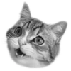 🐈‍⬛️ Эмодзи «🐈‍⬛ котики» для Telegram