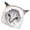 🐈‍⬛️ Эмодзи «🐈‍⬛ котики» для Telegram