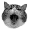 🐈‍⬛️ Эмодзи «🐈‍⬛ котики» для Telegram