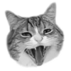 🐈‍⬛️ Эмодзи «🐈‍⬛ котики» для Telegram