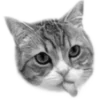 🐈‍⬛️ Эмодзи «🐈‍⬛ котики» для Telegram