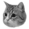 🐈‍⬛️ Эмодзи «🐈‍⬛ котики» для Telegram