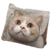 🐈‍⬛️ Эмодзи «🐈‍⬛ котики» для Telegram