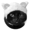 🐈‍⬛️ Эмодзи «🐈‍⬛ котики» для Telegram