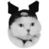 🐈‍⬛️ Эмодзи «🐈‍⬛ котики» для Telegram
