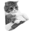 🐈‍⬛️ Эмодзи «🐈‍⬛ котики» для Telegram