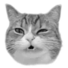 🐈‍⬛️ Эмодзи «🐈‍⬛ котики» для Telegram