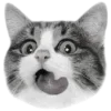 🐈‍⬛️ Эмодзи «🐈‍⬛ котики» для Telegram