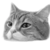 🐈‍⬛️ Эмодзи «🐈‍⬛ котики» для Telegram