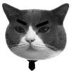 🐈‍⬛️ Эмодзи «🐈‍⬛ котики» для Telegram