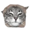 🐈‍⬛️ Эмодзи «🐈‍⬛ котики» для Telegram