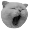 🐈‍⬛️ Эмодзи «🐈‍⬛ котики» для Telegram