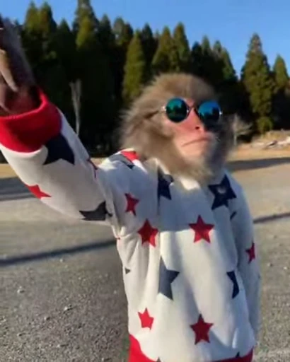 🐵 Стикер «marcios» для Telegram