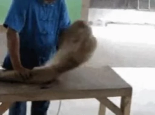 🐵 Стикер «marcios» для Telegram