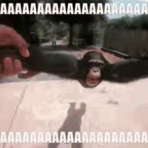 🐵 Стикер «marcios» для Telegram