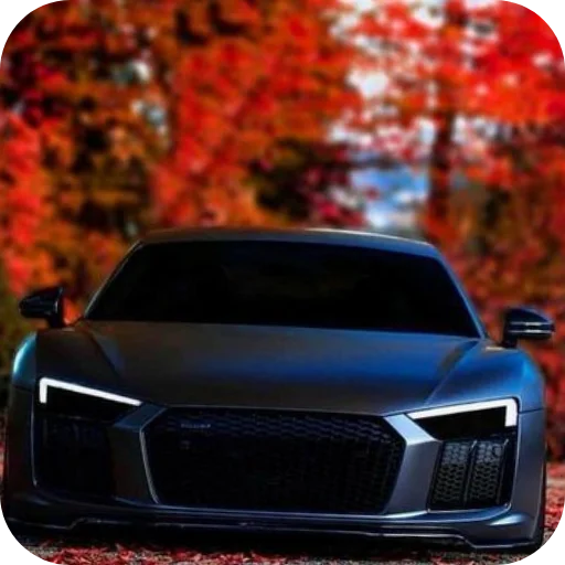 🚗 Стикер «Машины» для Telegram