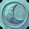 🧓 Эмодзи «8» для Telegram