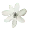 🌼 Эмодзи «matcha blanc» для Telegram