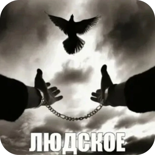 Стикерпак матч.ьсдо.хла. для Telegram — скачать
