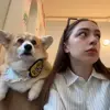🥹 Эмодзи «Мэйби Бэйби» для Telegram