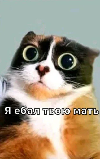 🤩 Стикер «Майонез» для Telegram